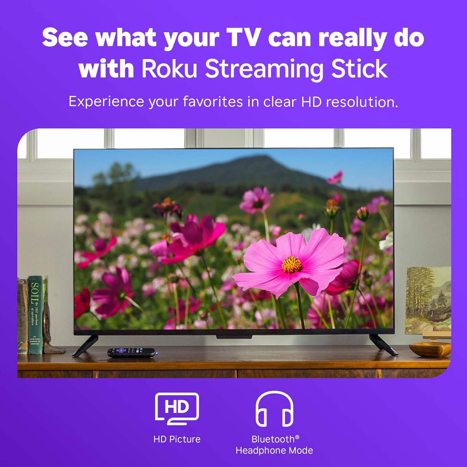 Roku View 3