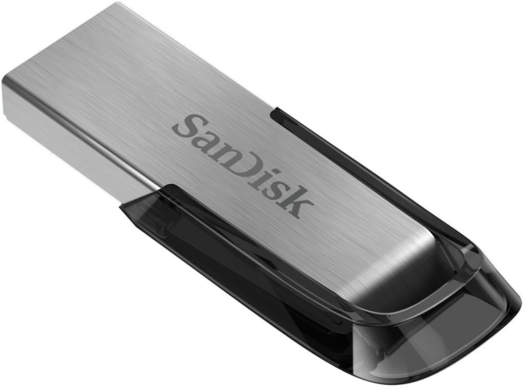 SanDisk View 2